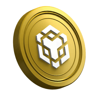 Página de guía para traders principiantes con la moneda criptomoneda Binance BNB